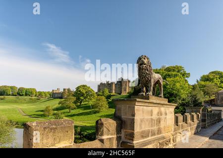 Percy il Leone sulla pietra costruito Alanwick ponte che si affaccia Alanwick Castello nel Northumberland, Regno Unito Foto Stock