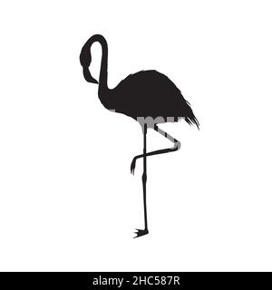 Flamingo silhouette , file vettoriale di uccello, illustrazione Illustrazione Vettoriale