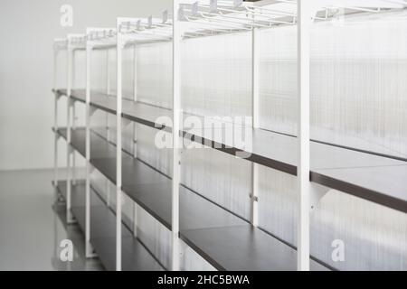 Corridoio supermercato con ripiani vuoti, supermercato con ripiani vuoti per merci. Foto Stock