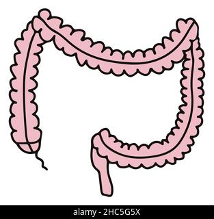 Semplice illustrazione gastrointestinale del sistema interno intestinale. Concetto di intestino sano. Parti del corpo umano in vettore Illustrazione Vettoriale