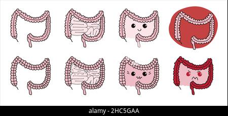 Set di semplici illustrazioni gastrointestinali del sistema interno intestinale. Concetto di intestino sano. Parti del corpo umano in vettore Illustrazione Vettoriale