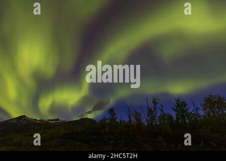 Una vista mozzafiato delle luci settentrionali di aurora nel cielo notturno scuro e la silhouette delle montagne Foto Stock