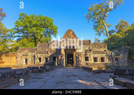 Rovine del tempio di Ta Prohm nel complesso di Angkor, sovrastato da alberi, Cambogia Foto Stock