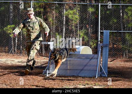 Fort Jackson, Carolina del Sud, Stati Uniti. 13th Dic 2021. SPC. Josph Phillips, un gestore militare di cane che lavora assegnato al 905th distaccamento della polizia militare, Fort Knox, Ky., corre accanto al suo partner Puritan come egli cancella un ostacolo 13 dicembre 2021. Undici team MWD di tutta la nazione si sono recati a Fort Jackson, SC, per testare la certificazione. La certificazione dà credibilità ai team MWD nel caso in cui siano chiamati in un tribunale per testimoniare e consente loro di lavorare insieme sul campo presso le loro stazioni domestiche. Credit: U.S. Army/ZUMA Press Wire Service/ZUMAPRESS.com/Alamy Live News Foto Stock