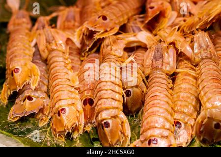 Primo piano della cucina fresca su ghiaccio (Squilla mantis) nel negozio di pesce Foto Stock