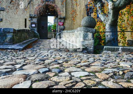 Una vista sul castello di Rosenburg vicino a Ballenstedt in Sassonia-Anhalt Foto Stock