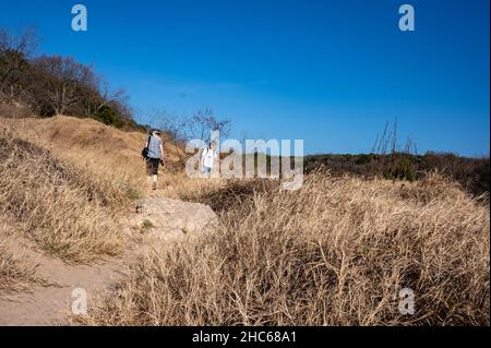 Johnson City, Texas, Stati Uniti. 24 dicembre 2021. Tempo caldo al Pedernales Falls state Park. La vigilia di Natale era insaporibilmente calda. Era abbastanza caldo per i visitatori di andare a nuotare nel fiume. Questo parco di 5.212 ettari si trova lungo le rive del fiume Pedernales nella contea di Blanco, Texas. Credit: Sidney Bruere/Alamy Live News Foto Stock