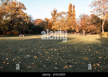 Persone che riposano sul prato circondato da alberi autunnali in una giornata di sole Foto Stock