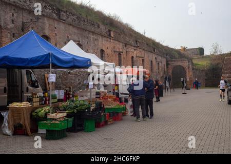 Giorni della Merla Festival in un piccolo comune di Pizzighettone Italia Foto Stock