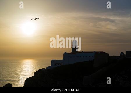 L'ultimo gabbiano volante al tramonto al faro di St. Vincent, nel punto più a sud-ovest dell'Europa continentale. Algarve, Portogallo Foto Stock