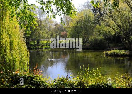Il lago in Priors Close Park, Melton Mowbray, Leicestershire, Inghilterra; Gran Bretagna; REGNO UNITO Foto Stock