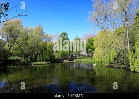 Il lago in Priors Close Park, Melton Mowbray, Leicestershire, Inghilterra; Gran Bretagna; REGNO UNITO Foto Stock