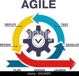 Infografica sul processo di sviluppo del software per schemi agili. Diagramma del processo di sviluppo del software, illustrazione vettoriale del flusso di lavoro agile. Ciclo di vita agile Illustrazione Vettoriale