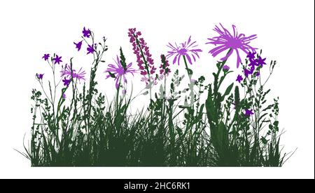 Silhouette di erba verde con fiori viola. Illustrazione vettoriale Illustrazione Vettoriale