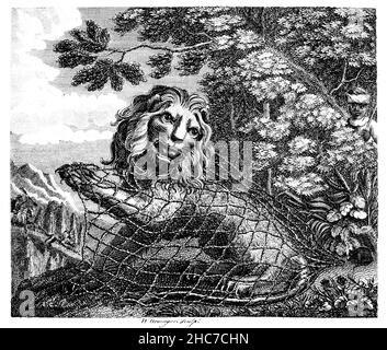 Illustrazione incisa del Leone e del mouse, una storia di mutua dipendenza indipendentemente dalle dimensioni, dalla prima edizione del 1793 della favola di Aesop di Stockdale Foto Stock