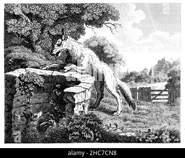 Illustrazione raffigurante la volpe nel pozzo, dove un favore viene raddoppiato grazie al tempo a disposizione, a partire dalla prima edizione del 1793 delle favole di Aesop di Stockdale Foto Stock
