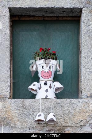 una carina mucca di latte fatta di vasi di fiori con fiori rossi in testa, seduto sul davanzale di una casa rurale in pietra, verticale Foto Stock