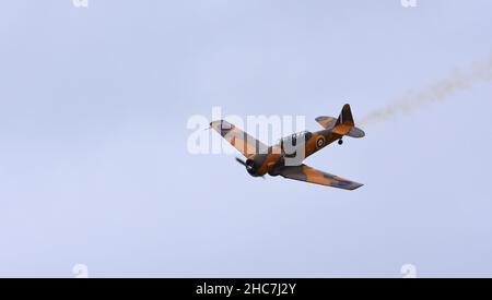 Vintage North American T-6 Harvard 4 Wacky Rabbit aereo in volo. Foto Stock