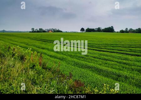 Bellissimo scatto di un campo verde a Seven Sisters, Sussex, Bristol, Regno Unito Foto Stock