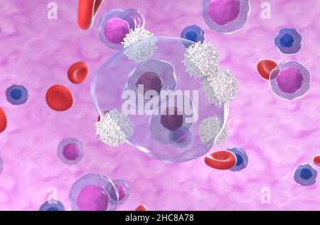 Cellula Reed-Sternberg nel linfoma di hodgkin attaccato da cellule t isometriche vista 3D rappresentazione illustrazione Foto Stock