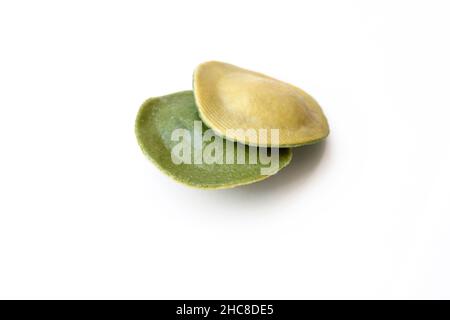 Ravioli freschi non cotti aromatizzati con spinaci su sfondo bianco Foto Stock