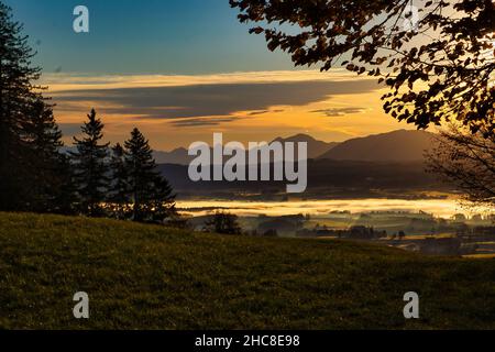 Campo verde con sfondo di pini e montagne ricoperte di nebbia sotto un cielo nuvoloso Foto Stock