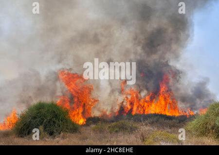 Campo di masterizzazione causato da Kite bombe che sono state percorse da Gaza con un acceso benzina panno imbevuto per impostare gli incendi all'israeliano i campi e le colture. Fotografato su Foto Stock