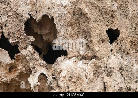 Lava vulcanica, formazione di roccia pomice, che mostra un buco a forma di cuore, penisola di Akamas, Isola di Cipro, Mediterraneo orientale Foto Stock