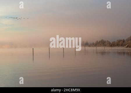 Una mattinata di nebbia durante un'incredibile alba colorata con riflessi sullo stagno, creando un'atmosfera magica e misteriosa nella natura. Foto Stock