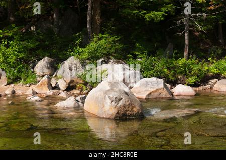 Il roccioso East Branch Pemigewasset River a livermore, New hampshire, in una giornata di sole. Foto Stock