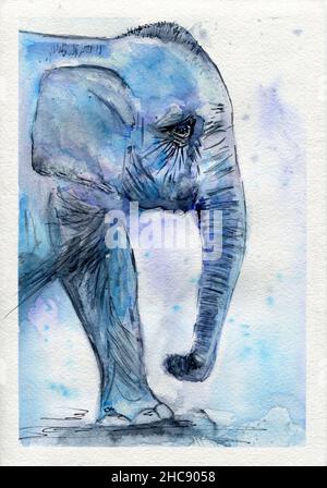 Illustrazione dell'acquerello. Acquerello elefante pittura. Elefante blu. Dipinto a mano Foto Stock