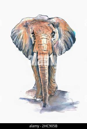 Illustrazione dell'acquerello. Acquerello elefante pittura. Elefante a piedi. Dipinto a mano Foto Stock