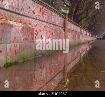 Londra, Regno Unito 26th dicembre 2021. Il National Covid Memorial Wall si è riflesso in pozzanghere in un giorno piovoso. Oltre 150.000 cuori rossi sono stati dipinti da volontari e membri del pubblico, uno per ogni vita perso a coronavirus nel Regno Unito. Credit: Vuk Valcic / Alamy Live News Foto Stock