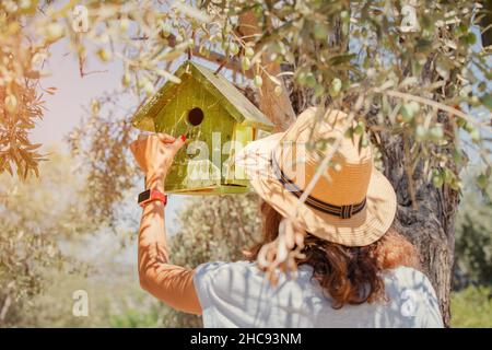 Ornitologo femminile e birdwatcher versa il cibo in una birdhouse appesa su un olivo nel parco. Concetto di hobby e tempo libero Foto Stock