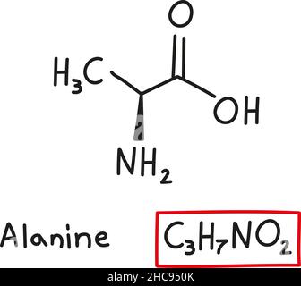 Formula molecolare chimica disegnata a mano dell'amminoacido alanina nello stile della barbetta isolato. Illustrazione Vettoriale