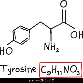 Formula molecolare chimica disegnata a mano di amminoacido tirosina nello stile di doodle isolato. Illustrazione Vettoriale