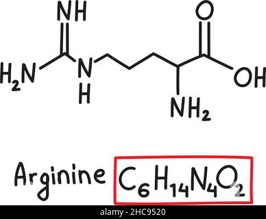 Formula molecolare chimica disegnata a mano dell'amminoacido arginina nello stile di doodle isolato. Illustrazione Vettoriale