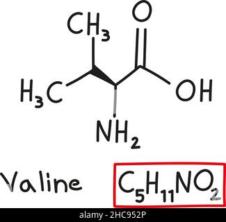 Formula molecolare chimica trafilata a mano della valina dell'amminoacido nello stile di doodle isolato. Illustrazione Vettoriale