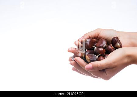 Foto di un mazzo di castagne in mano di una ragazza su sfondo bianco.la fotografia è scattata in formato orizzontale e ha un grande spazio per la copia Foto Stock