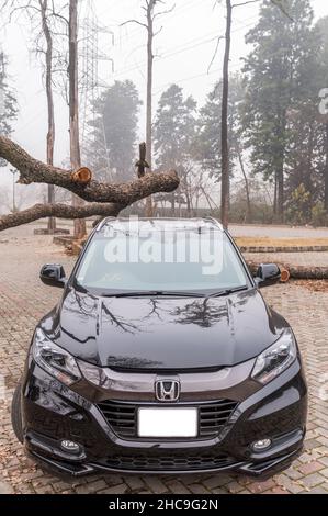 Vista frontale di un'auto SUV nera con alberi sullo sfondo Foto Stock