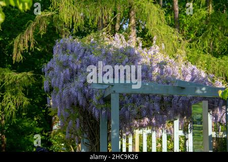 Paesaggio panoramico di giardini rinascimentali italiani in Garten der Welt Marzahn Berlino Foto Stock