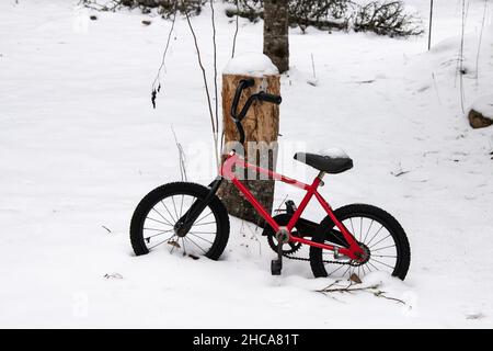 Una bicicletta rossa per bambini trascurata e dimenticata appoggiata contro un moncone nella neve in Speculator, NY USA Foto Stock