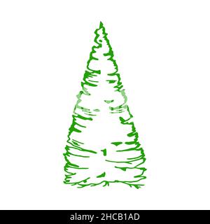 Albero sempreverde perenne. Rami laterali lussureggianti. Silhouette asimmetrica stilizzata. Pino, cipresso, cedro, abete. Albero di conifere verde. Per i verdi invernali Illustrazione Vettoriale