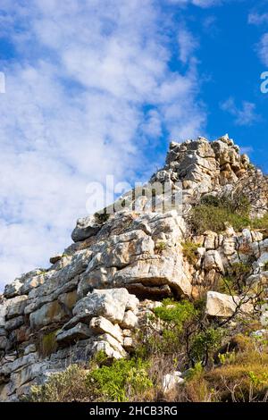 Aspro paesaggio di montagna con fynbos macchia flora in Città del Capo Sud Africa Foto Stock