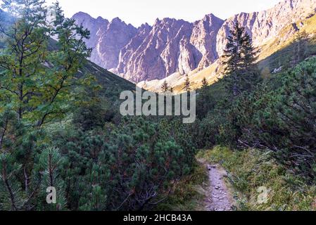 Valle della dolina Javorova con sentiero escursionistico e cime in cima a Vysoke Tatry montagne in Slovacchia durante la tarda mattinata estiva con cielo limpido Foto Stock