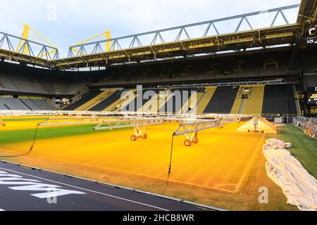 Stadio di calcio Borussia Dortmund BVB 09 vuoto, campo di calcio durante la manutenzione, Signal Iduna Park, Germania Foto Stock