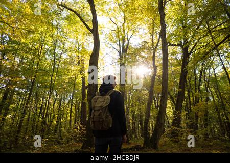 Escursionista con zaino in piedi in bosco Foto Stock