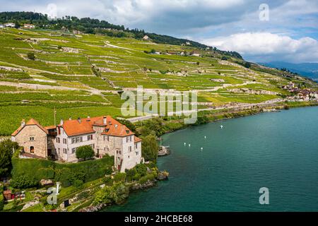Svizzera, Canton Vaud, veduta aerea dei vigneti terrazzati di Lavaux in estate Foto Stock