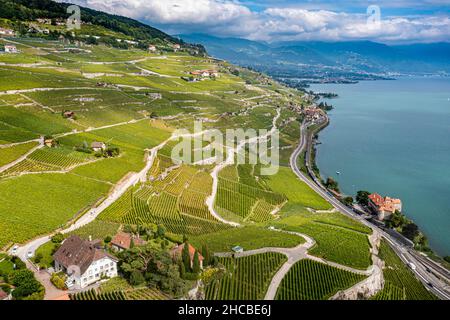 Svizzera, Canton Vaud, veduta aerea dei vigneti terrazzati di Lavaux in estate Foto Stock