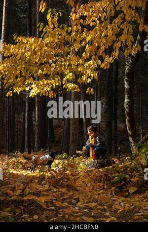 Donna che guarda il cane sotto gli alberi d'autunno nella foresta Foto Stock